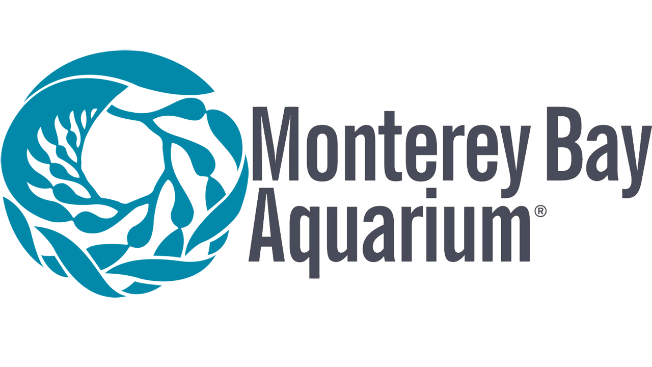 Evaluation Story: Monterey Bay Aquarium – IXD@Pratt