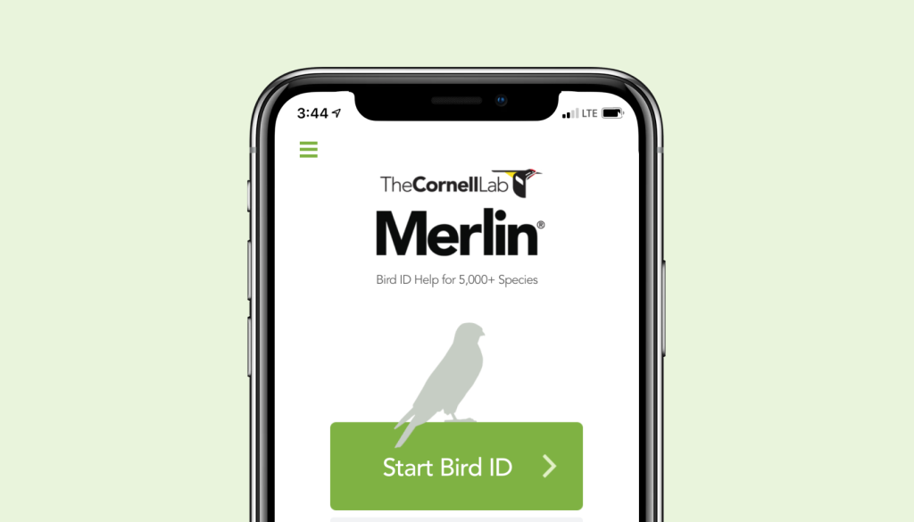 The landing page of Merlin Bird ID app by The Cornell Lab, an open source Bird guide and identifier.