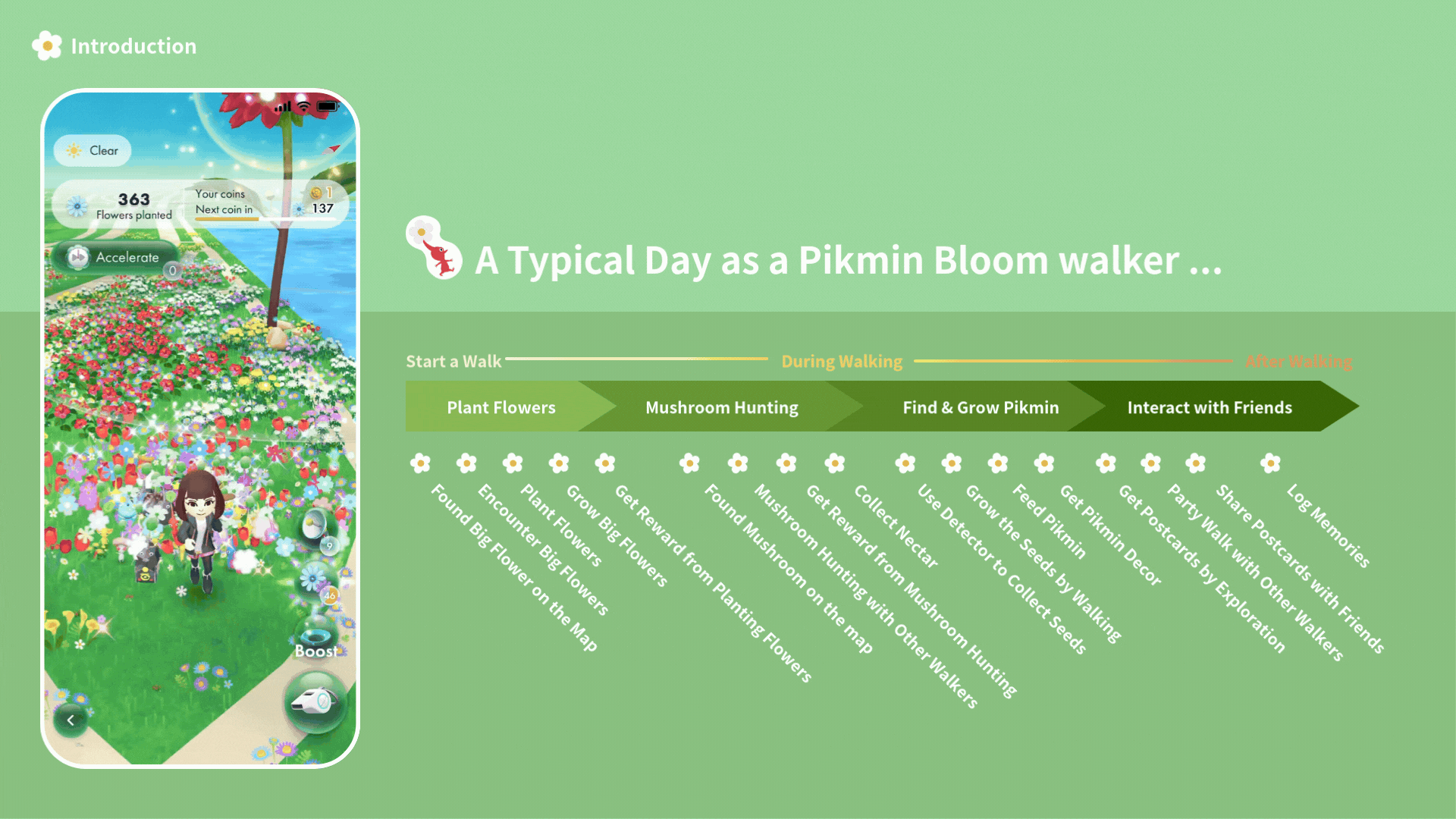 A typical journey for a “Walker”.