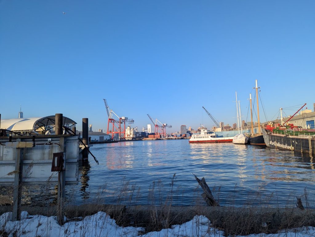 View of the Red Hook waterfront in winter, with red shipping cranes, docked boats, and the lower Manhattan skyline across the harbor, framed by snow-dusted reeds in the foreground.