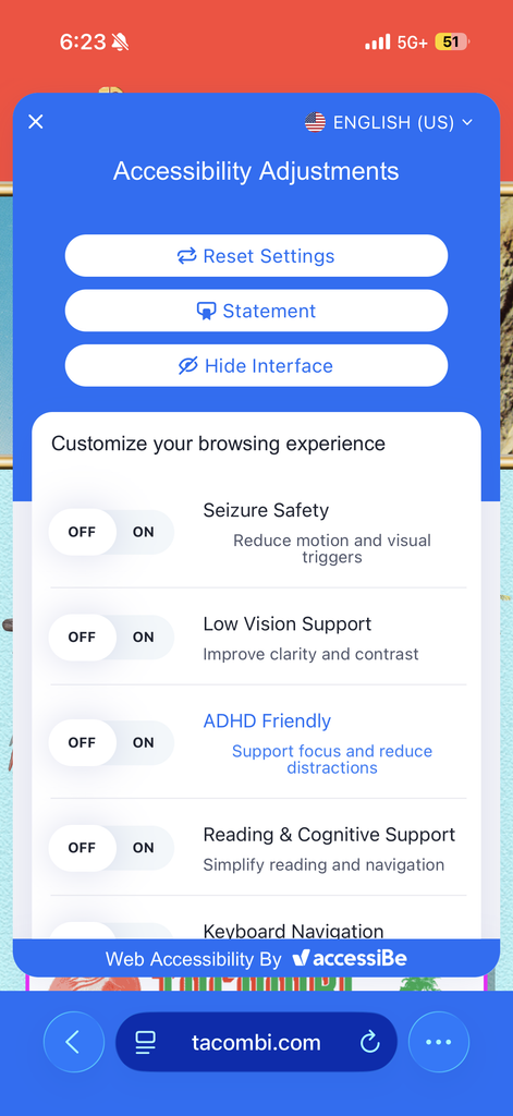 The "Accessibility Adjustments" panel, with options for seizure safety, low vision, and ADHD support.